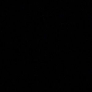 Meet your Posher, Elaina